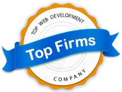 Top web development company